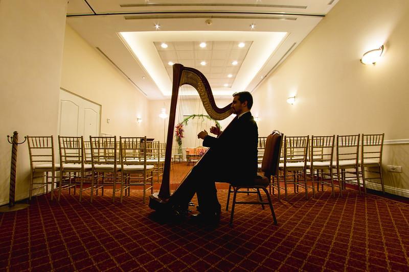 Safi Royal Luxury Valle San Pedro Garza Garcia Екстериор снимка A harpist playing at a wedding